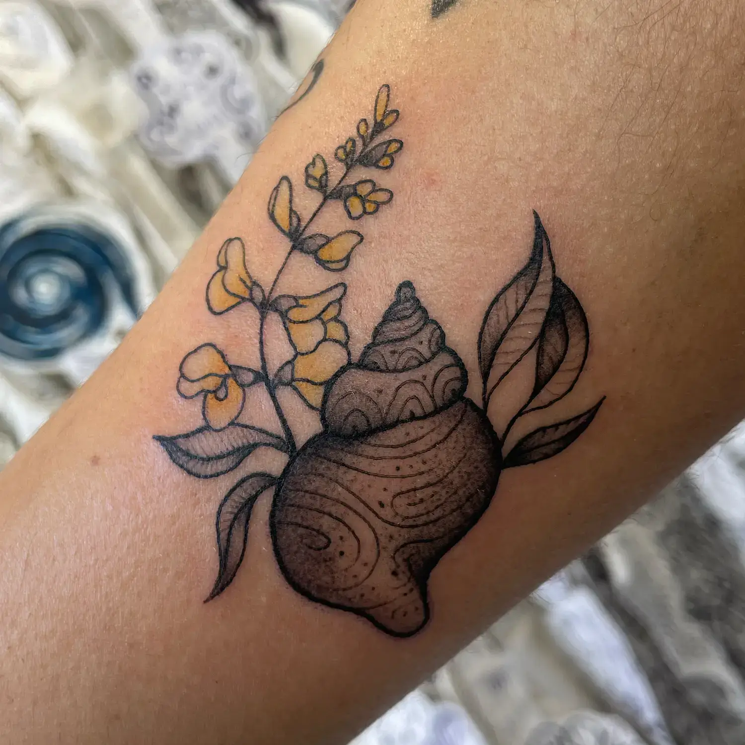 Coquillage et genet en tatouage